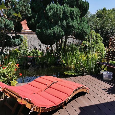 Ferienhaus Mit Mediterraner Terrasse Mullrose Bagian luar foto